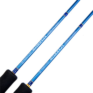 Fishing Rod