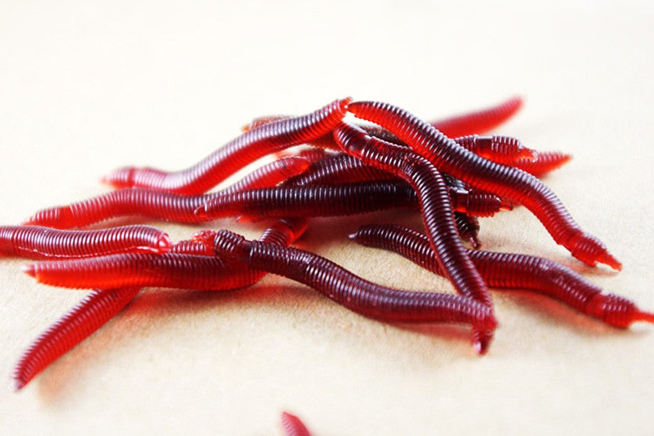 Soft Lure Red Worms 100pcs